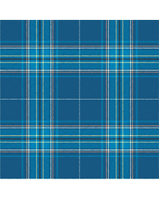 Albany tartan kilt