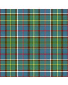 Ayrshire District Tartan Kilt
