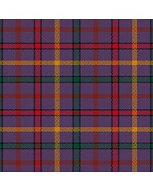 Child The Tartan Kilt