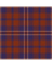 Embrace The Tartan Kilt