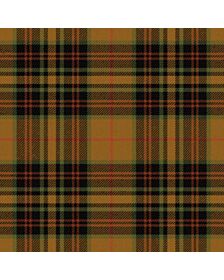 Fountain of the Strong Tartan Kilt