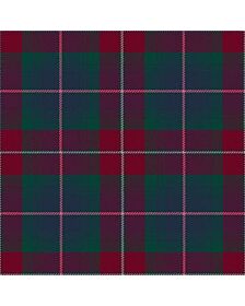 Guilder (2018) Modern Tartan Kilt