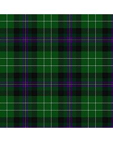 Hibernian Football Club Tartan Kilt