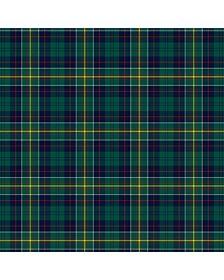 Hunter Of Hunterson Tartan Kilt