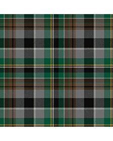 Les Cercles de Femme Tartan kilt