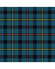 MacCrimmon Ancient Tartan kilt