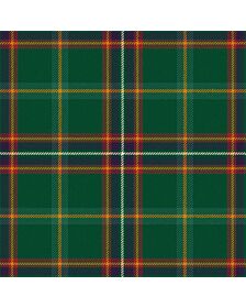 Pienaar Ancient Tartan Kilt