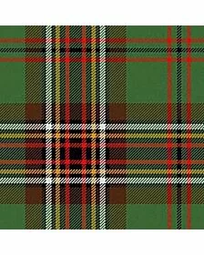 Tara Ancient Tartan Kilt