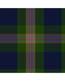 Clan Wells Ancient Tartan Kilt 