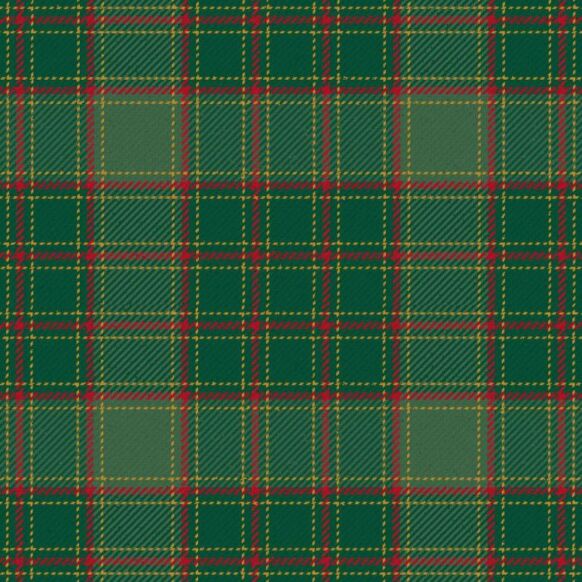 Terry Modern Tartan Kilt